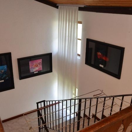 Vila Delfin Ohrid Esterno foto