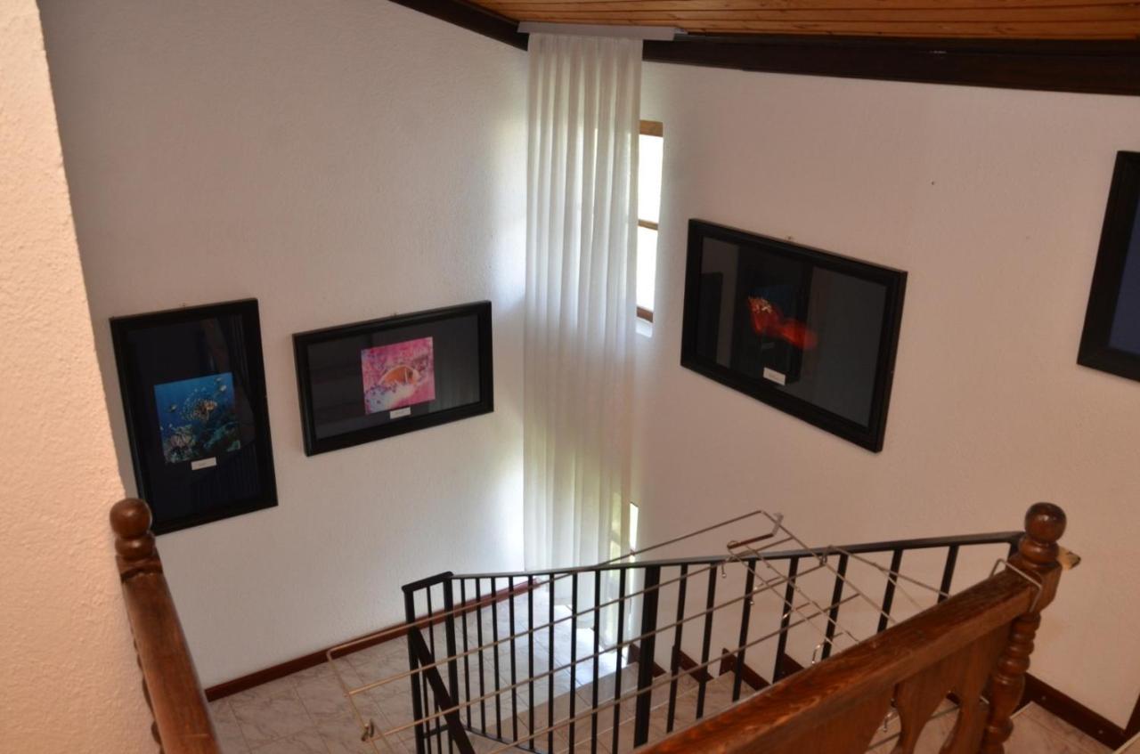Vila Delfin Ohrid Esterno foto